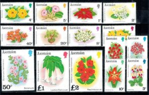 KWIATY ASCENSION MI.276-290I**