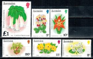 KWIATY ASCENSION MI.277-289II**