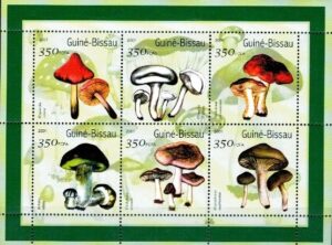 GRZYBY GWINEA BISSAU MI.ARK.1578-1583**