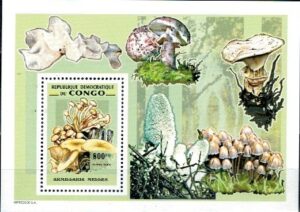 GRZYBY KONGO MI.BL.287A**