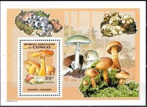 GRZYBY KONGO MI.BL.286A**