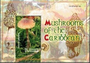 GRZYBY ST.VINCENT MI.BL.672**