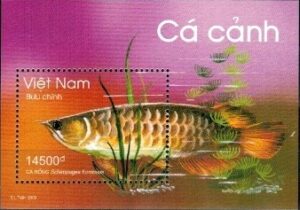 RYBY WIETNAM MI.BL.153**