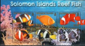 RAFA KORALOWA WYSPY SALOMONA MI.BL.65**