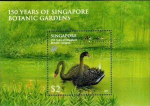 PTAKI SINGAPUR MI.BL.144**