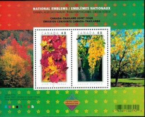 DRZEWA KANADA MI.BL.64**