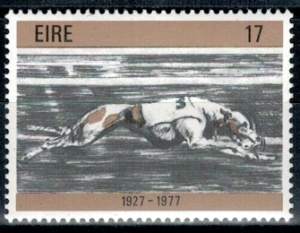 PIES IRLANDIA MI.370**