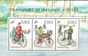 ROWERY IRLANDIA MI.BL.8**