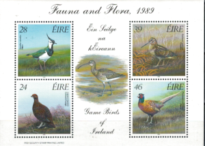 PTAKI IRLANDIA MI.BL.7**