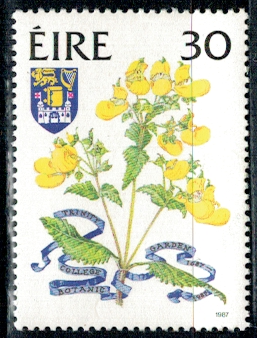 KWIATY IRLANDIA MI.621**