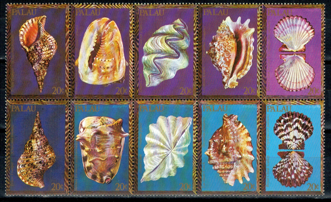 MUSZLE PALAU MI.37-46**