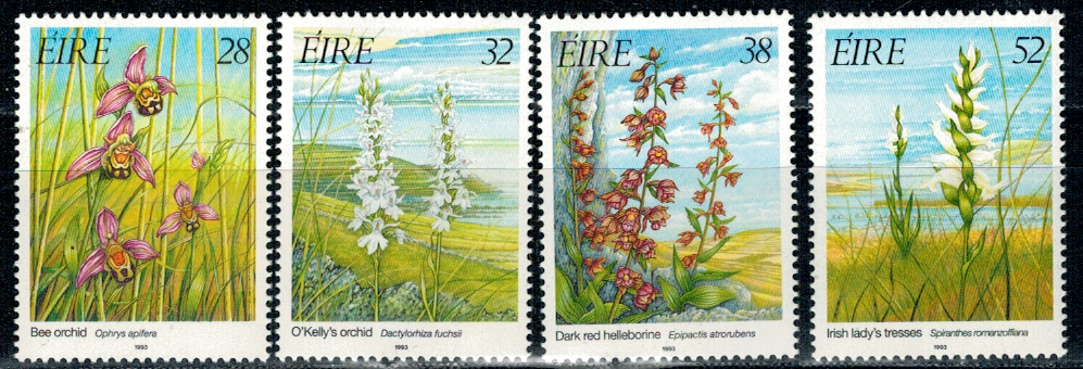 FLORA IRLANDIA MI.821-824**