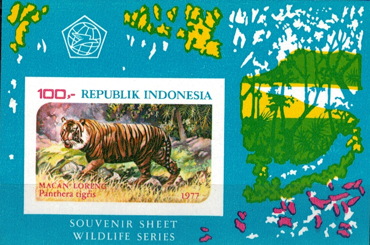 TYGRYS INDONEZJA MI.BL.25B**