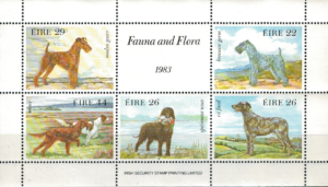 PSY IRLANDIA MI.BL.4**