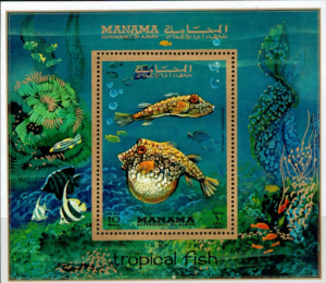 RYBY MANAMA MI.BL.156A**