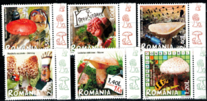 GRZYBY RUMUNIA MI.6262-6267**