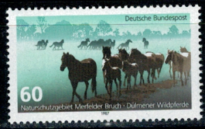 DZIKIE KONIE RFN MI.1328**