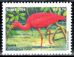 PTAKI BRAZYLIA MI. 3354**
