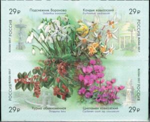 KWIATY ROSJA MI.2424-2427**