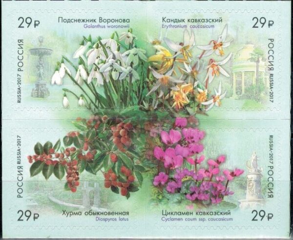 KWIATY ROSJA MI.2424-2427**